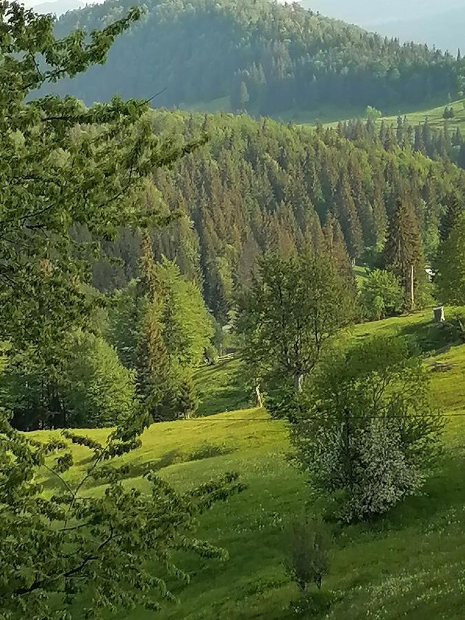Cabana Daria Gîrda de Sus Esterno foto